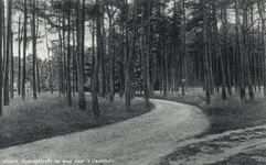 602997 Gezicht op een bosweg die leidt naar een jachthuis in de bossen te Maarn.N.B. De gemeente Maarn is per 1 januari ...